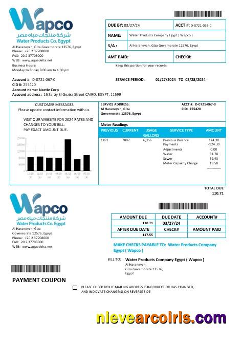 Egypt Water Products Company Egypt Wapco business utility bill